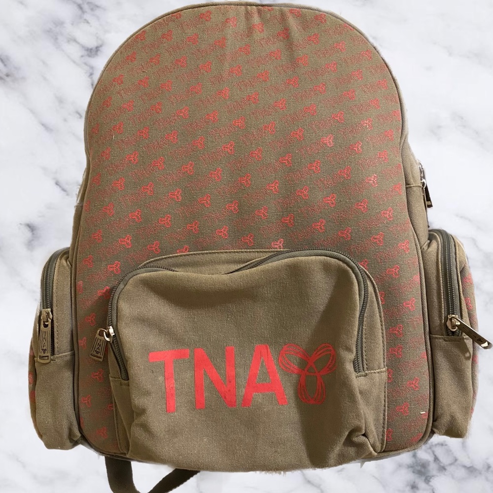 Aritzia TNA Grey Backpack